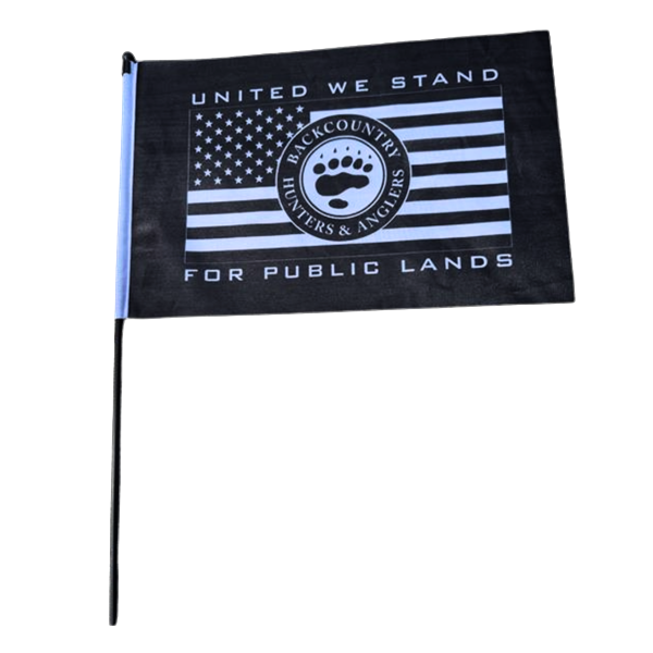 United We Stand Hand Flag