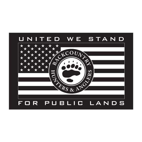 United We Stand Hand Flag