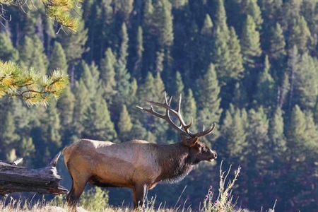 Administration to Rescind Public Lands Rule, Potentially Shirking Public Engagement