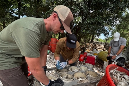 Veterans Give Back Through Chesapeake Bay Oyster Restoration