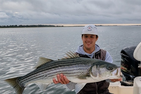 Atlantic Striped Bass Draft Addendum III