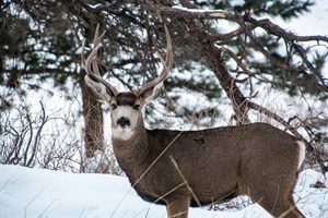 National Wildlife Refuges: A Hunting and Fishing Perspective
