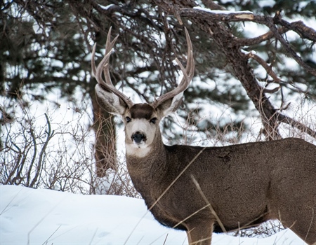 National Wildlife Refuges: A Hunting and Fishing Perspective