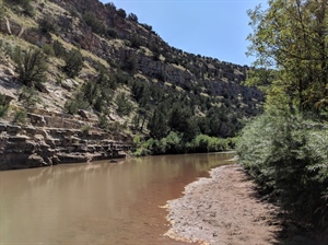 BHA Pushes for Permanent Protections of Two Iconic New Mexico Watersheds