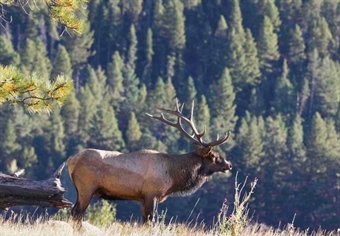 Administration to Rescind Public Lands Rule, Potentially Shirking Public Engagement