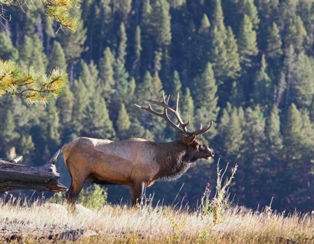 Administration to Rescind Public Lands Rule, Potentially Shirking Public Engagement