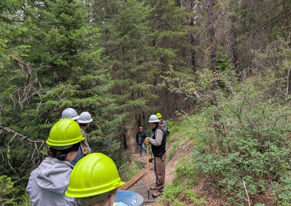 Mountains to Sound Greenway Trailfest RECAP