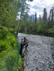 Russian River Fencing Project 2025 Recap