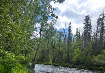 Russian River Fencing Project 2025 Recap