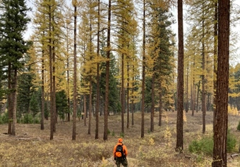 USDA Rescinds Near Quarter Century Old Protections for 58.5 Million Acres of National Forest Lands