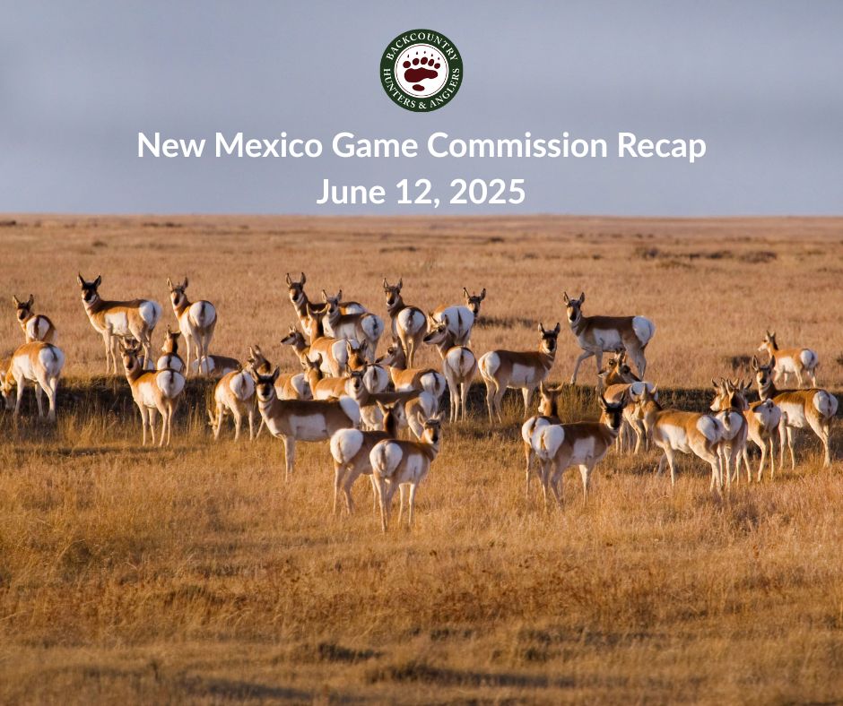 6/12/2025 NM State Game Commission Recap