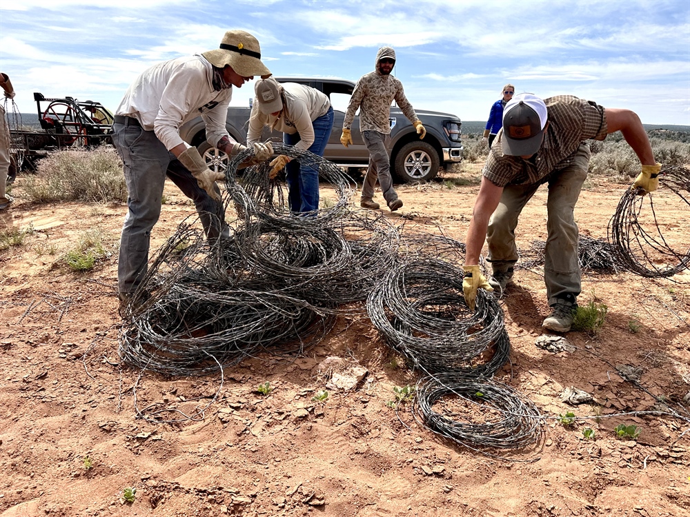 Utah BHA Volunteers Show Their Grit in Paunsaugunt Fence Pull