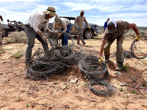 Utah BHA Volunteers Show Their Grit in Paunsaugunt Fence Pull