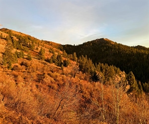 BHA Condemns Senate Proposal to Sell Off Up to 3 Million Acres of Public Lands