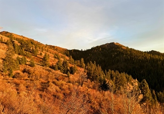 BHA Condemns Senate Proposal to Sell Off Up to 3 Million Acres of Public Lands