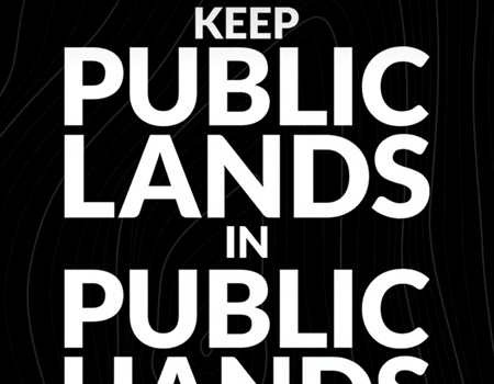 Privatization of Public Lands