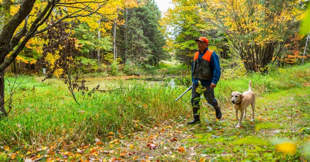 Minnesota Heritage Forest Protects  Over 8,000 Acres of Public Land and Access