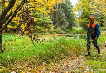 Minnesota Heritage Forest Protects  Over 8,000 Acres of Public Land and Access