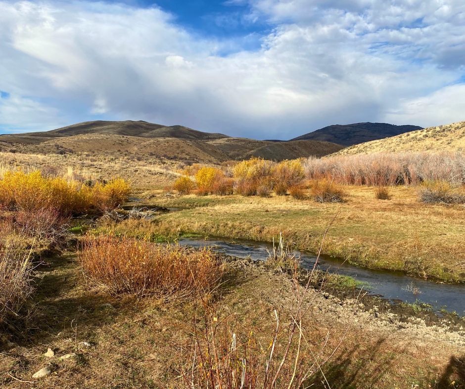 Public Lands Victory: BHA Applauds Removal of Land Sale Amendment from House Budget Bill