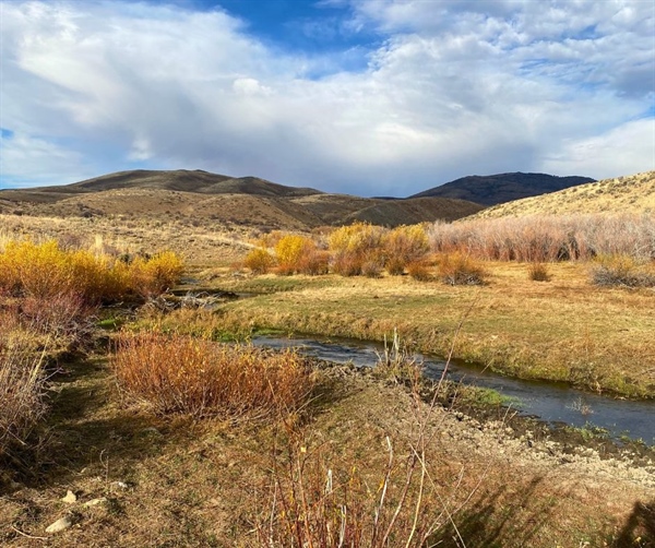 Public Lands Victory: BHA Applauds Removal of Land Sale Amendment from House Budget Bill