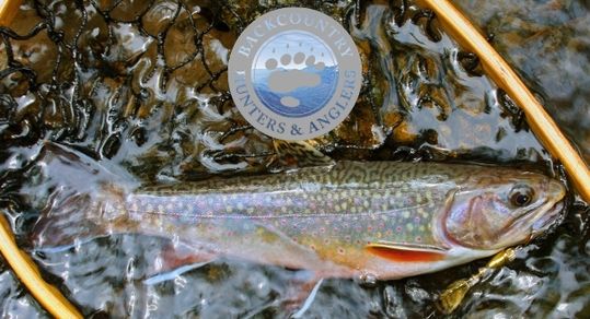 Trek For Trout in the Adirondacks