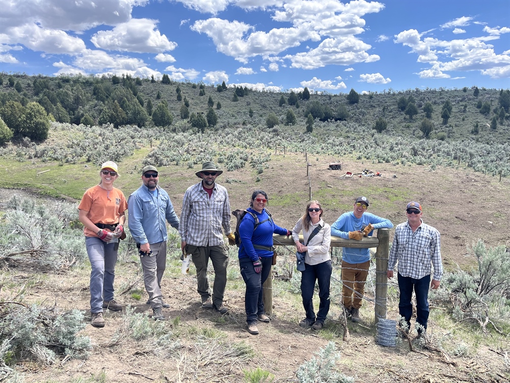 Stinking Springs Fence Pull and Wildlife Friendly Re-build