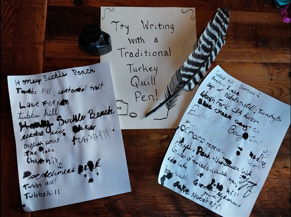 Turkey Quills & Teenagers