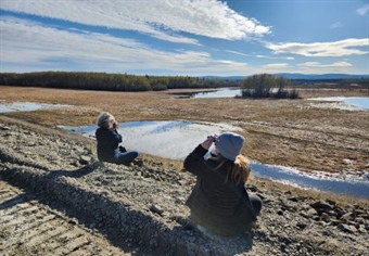 Pop Up Waterfowl Birding at Chena Flood Project - A Recap