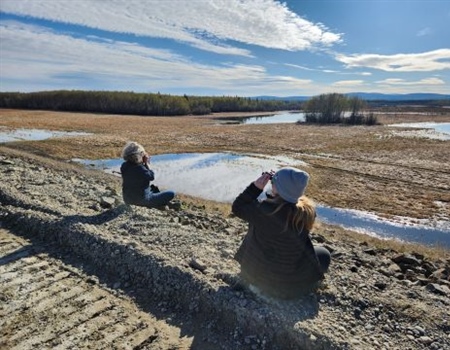 Pop Up Waterfowl Birding at Chena Flood Project - A Recap