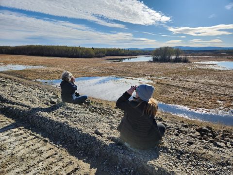 Pop Up Waterfowl Birding at Chena Flood Project - A Recap