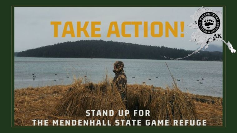 Stand Up for the Mendenhall Wetlands State Game Refuge