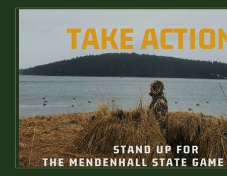 Stand Up for the Mendenhall Wetlands State Game Refuge