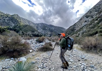 CA BHA San Gabriel Bighorn Survey Recap!