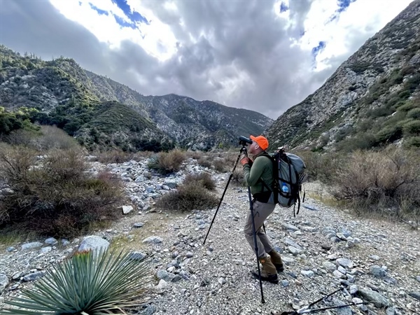CA BHA San Gabriel Bighorn Survey Recap!
