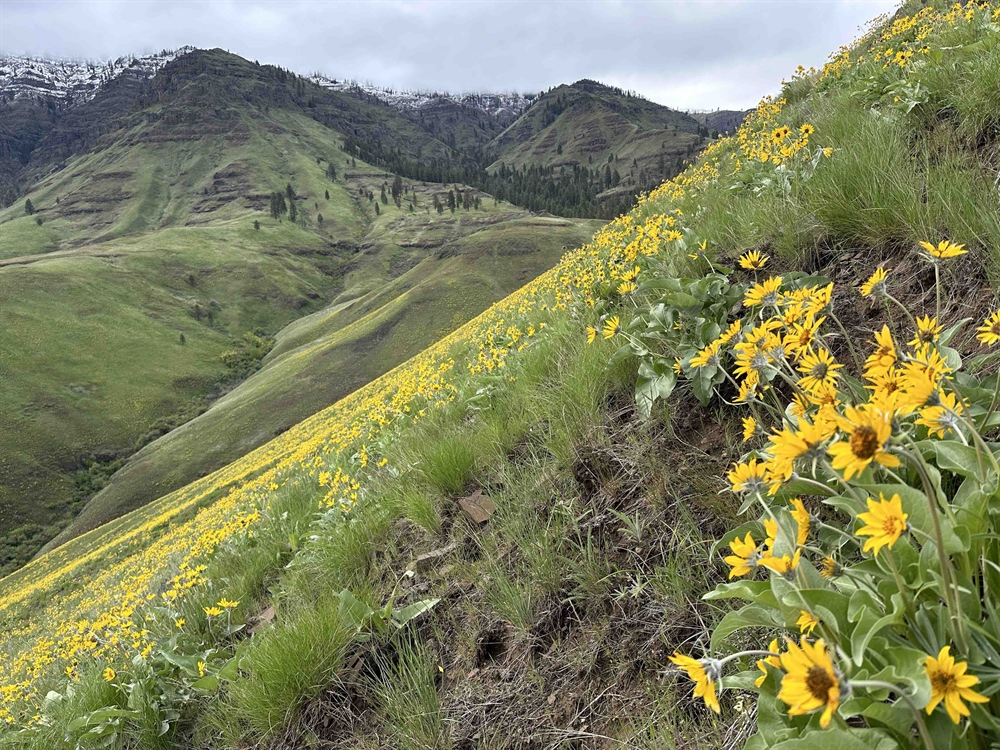 $30,000 Boost for Backcountry Access in Oregon