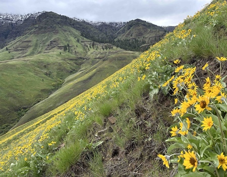 $30,000 Boost for Backcountry Access in Oregon
