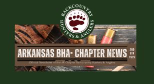 Arkansas BHA 2nd Quarter 2025 Newsletter