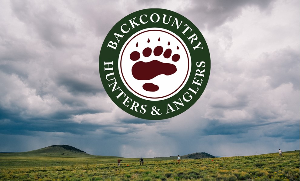 New Mexico BHA March/April Newsletter