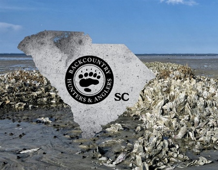SC RECAP: SC BHA Manufactured Wire Reef Construction with SCDNR SCORE program