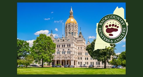 CT BHA Comments on Sunday Hunting and Bear Hunting