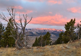 Hunters & Anglers Raise Strong Opposition to SB 307