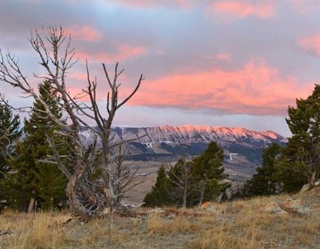 Hunters & Anglers Raise Strong Opposition to SB 307