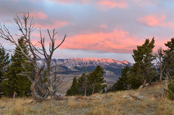 Hunters & Anglers Raise Strong Opposition to SB 307