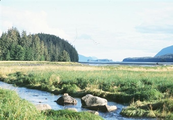 Montana BHA  Opposes Legislation that Would Streamline the Sale of State Lands