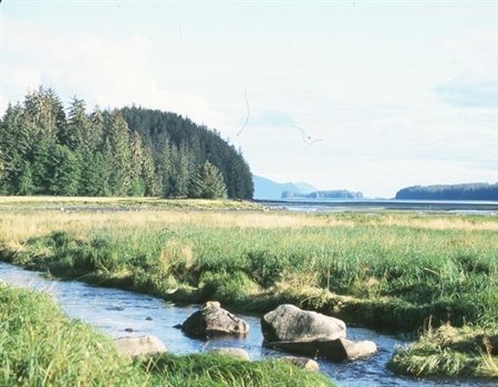 Montana BHA  Opposes Legislation that Would Streamline the Sale of State Lands