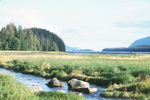 Montana BHA  Opposes Legislation that Would Streamline the Sale of State Lands