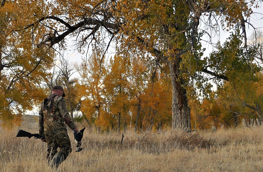 Efforts to Streamline the Sale of Public Lands for Housing Continue to Grow