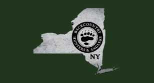 NY BHA March Newsletter