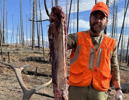 Colorado Backcountry Hunters & Anglers Appoint Damon DeGraw To Routt National Forest Habitat Watch Volunteer Position