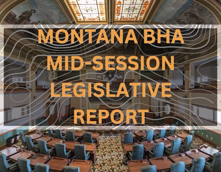 Montana BHA Mid-Session Legislative Report